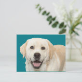 Carte Postale Labrador retriever 1 (Debout devant)