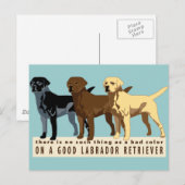 Carte Postale Labrador Retriever 3 couleurs (Devant / Derrière)