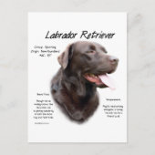 Carte Postale Labrador Retriever (chocolat) Histoire Conception (Devant)