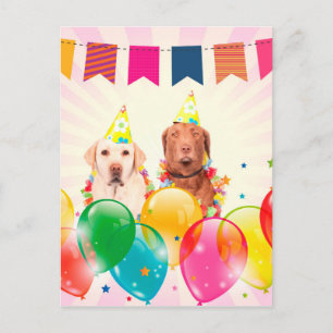 Carte Postale Labrador Retriever Dog Balloons Anniversaire
