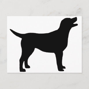 Carte Postale Labrador Retriever (en noir)