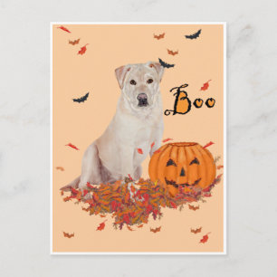 Carte Postale Labrador Retriever Jaune Boo!