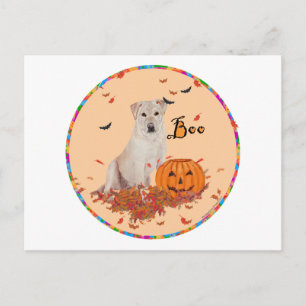 Carte Postale Labrador Retriever jaune Halloween