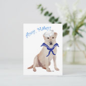 Carte Postale Labrador Retriever Jaune Marin (Debout devant)