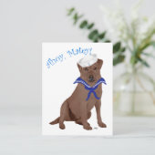 Carte Postale Labrador Retriever marron au chocolat (Debout devant)