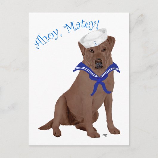 Carte Postale Labrador Retriever marron au chocolat (Devant)