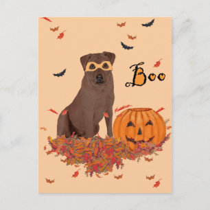 Carte Postale Labrador Retriever marron Halloween