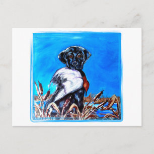 CARTE POSTALE LABRADOR RETRIEVER NOIR