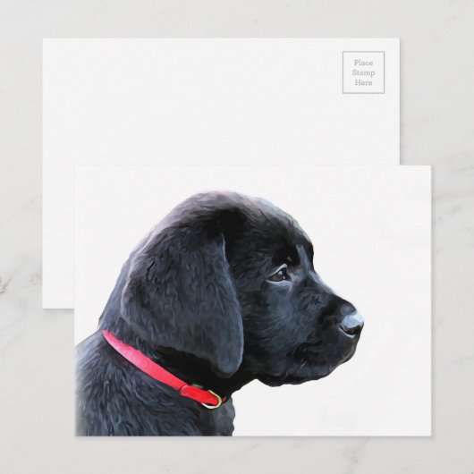Carte Postale Labrador Retriever noir chiot mignon - Lab noir (Devant / Derrière)