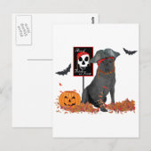 Carte Postale Labrador Retriever noir pirate (Devant / Derrière)