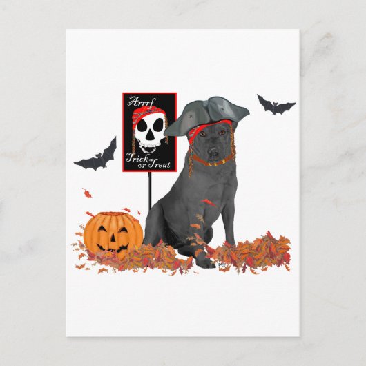 Carte Postale Labrador Retriever noir pirate (Devant)