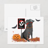 Carte Postale Labrador Retriever noir pirate (Devant / Derrière)