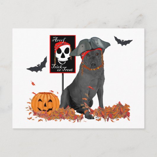 Carte Postale Labrador Retriever noir pirate (Devant)