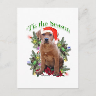 Carte Postale Labrador Retriever Puppy 'C'est la saison