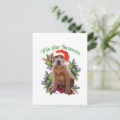 Carte Postale Labrador Retriever " Tis (Debout devant)