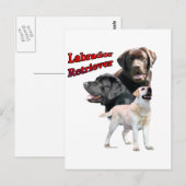 Carte Postale Labrador Retriever Trio 2 (Devant / Derrière)