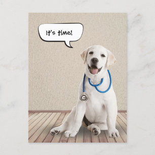 Carte Postale Labrador Retriever Wistéthoscope