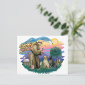 Carte Postale Labrador Retrievers (deux) (Debout devant)