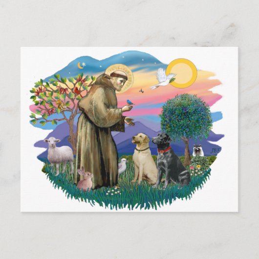 Carte Postale Labrador Retrievers (deux) (Devant)