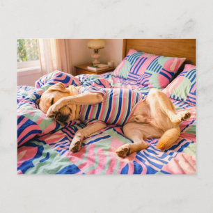 Carte Postale Labrador se reposant sur un couvre-lit coloré