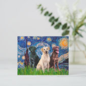Carte Postale Labradors (3) - Nuit étoilée (Debout devant)
