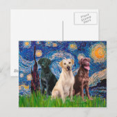 Carte Postale Labradors (3) - Nuit étoilée (Devant / Derrière)