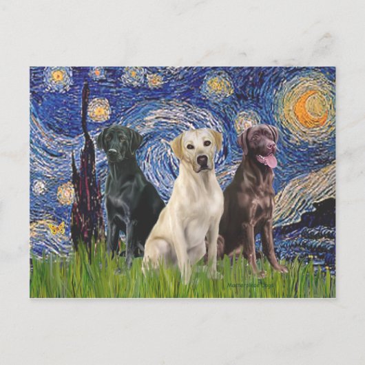 Carte Postale Labradors (3) - Nuit étoilée (Devant)