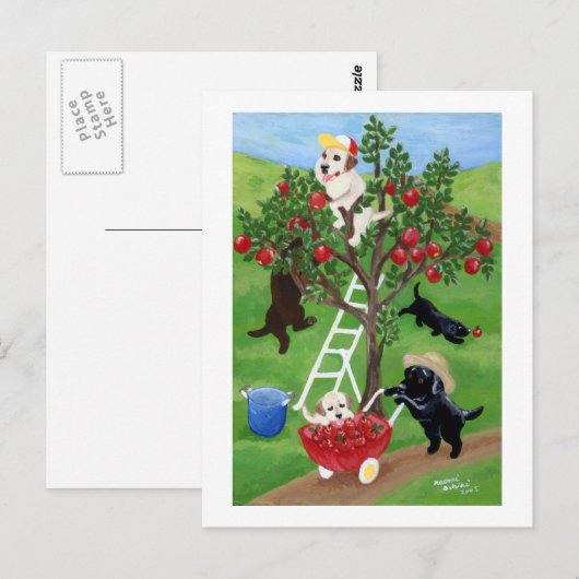Carte Postale Labradors Apple Tree (Devant / Derrière)