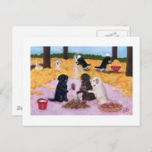 Carte Postale Labradors Automne Amusement (Devant / Derrière)