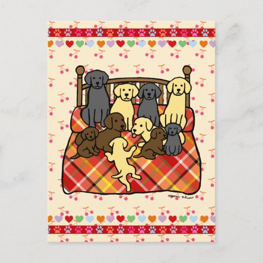 Carte Postale Labradors sur lit King Size (Devant)