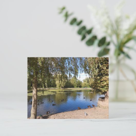 Carte Postale Lac (Debout devant)