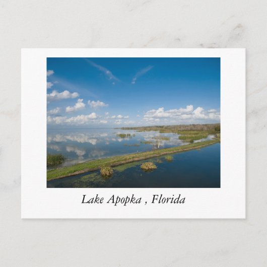 Carte Postale Lac Apopka, Floride (Devant)