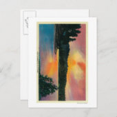 Carte Postale Lac Arrowhead à SunsetLake Arrowhead, CA (Devant / Derrière)