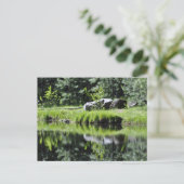 Carte Postale Lac Aspen (Debout devant)