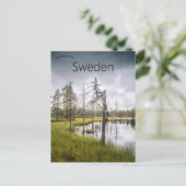 Carte Postale Lac aux marais cachés dans le Jämtland Suède (Debout devant)