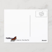 Carte Postale Lac Avalanche I dans le parc national Glacier (Dos)