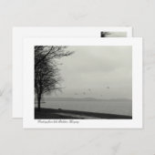 Carte Postale Lac Balaton panorama b&w (Devant / Derrière)