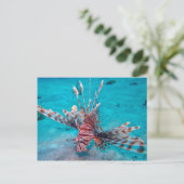 Carte Postale Lac Beautiful (Debout devant)