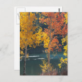 Carte Postale Lac Beaver à Autumn (Devant / Derrière)