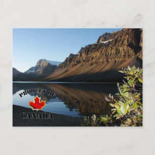 Carte Postale Lac Bow et Glacier