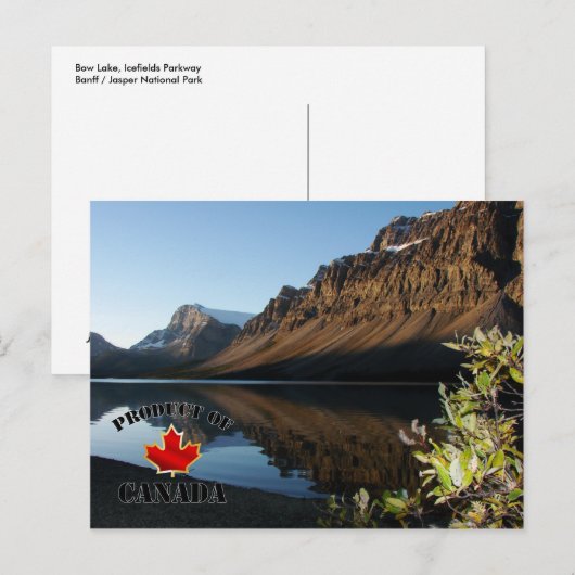 Carte Postale Lac Bow et Glacier (Devant / Derrière)