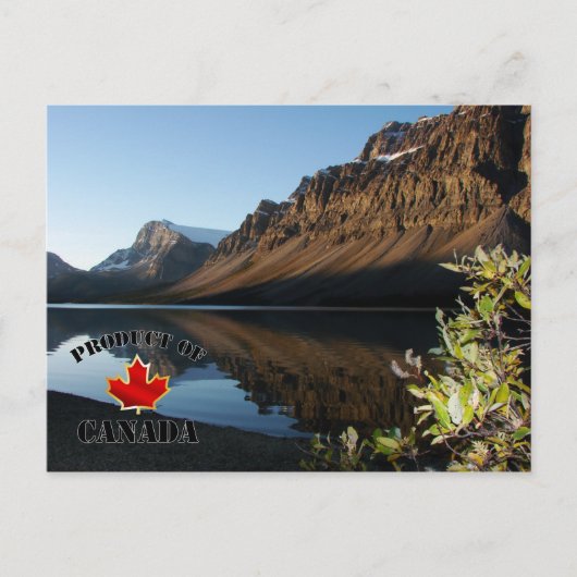 Carte Postale Lac Bow et Glacier (Devant)
