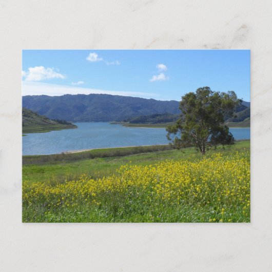 Carte Postale Lac Casitas - Ojai, CA (Devant)