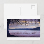 Carte Postale Lac Cayuga / Ithaca (Devant / Derrière)