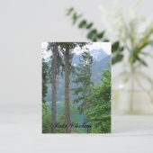 Carte Postale Lac Chelan (Debout devant)