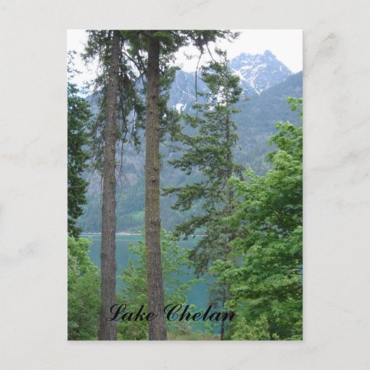 Carte Postale Lac Chelan (Devant)