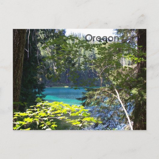 Carte Postale Lac Clear (Devant)