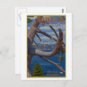 Carte Postale Lac Crater - Été 2011 (Devant / Derrière)