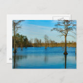 Carte Postale Lac Cypress (Devant / Derrière)