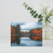 Carte Postale Lac d'Automne (Debout devant)